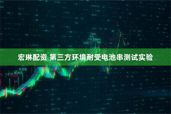 宏琳配资 第三方环境耐受电池串测试实验